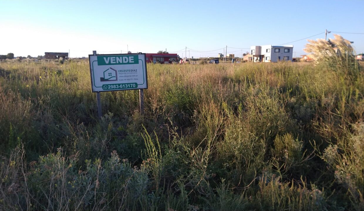 WhatsApp Image 2022-02-07 at 19.24.52